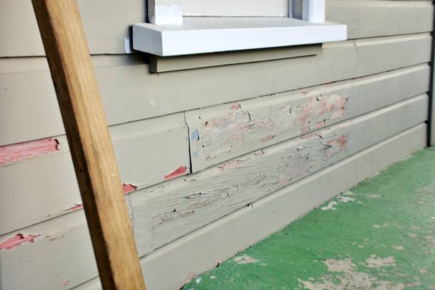 Best Aluminum Siding Installation  in USA